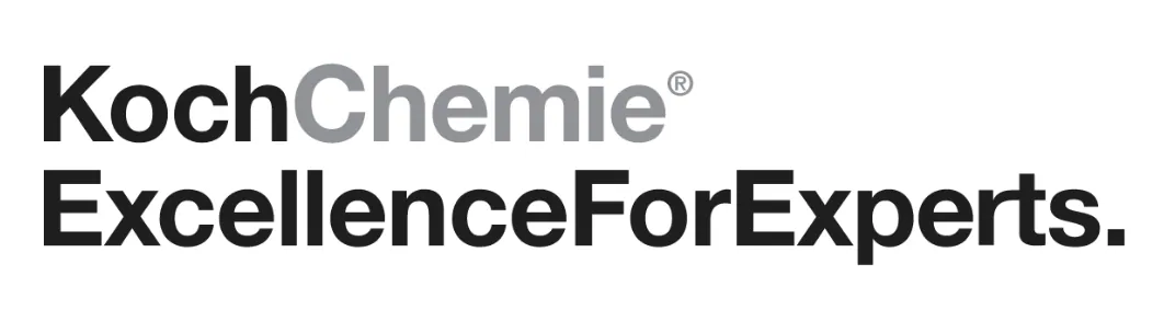 לוגו KCX Koch-Chemie